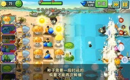 《植物大战僵尸2》巨浪沙滩第二十四关攻略