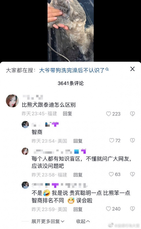 冬天吃猫肉火锅 囧图 如何让老公从我出轨中走出来