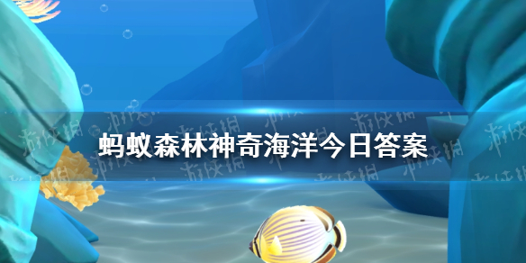 倒立水母将触须朝上是方便获取阳光还是抓捕猎物 蚂蚁森林神奇海洋今日答案2.21最新