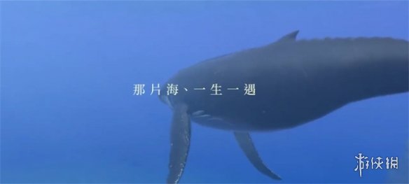 《永恒蔚蓝：流光》介绍影片公布：支持30人同时游玩