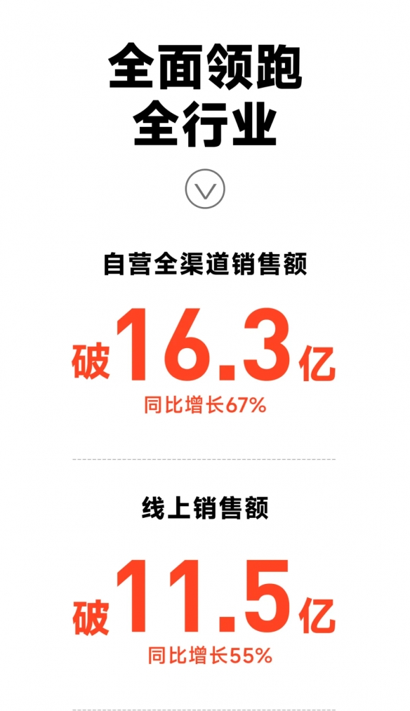 九号公司618全渠道销售额同比增长67%！电动二轮车贡献15.5亿收入-绿好游