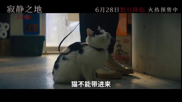 《寂静之地：入侵日》曝新特辑 危险来临，抱猫逃跑-绿好游