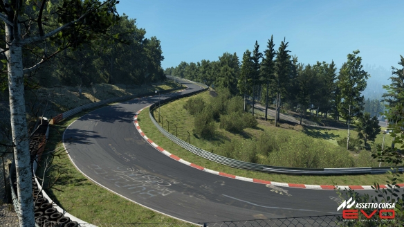 《神力科莎Evo（Assetto Corsa Evo）》Steam页面正式上线 -绿好游