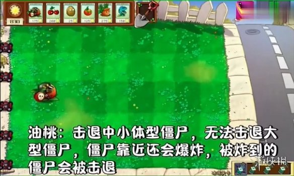 《植物大战僵尸二战版》火热来袭！添加了许多新植物-绿好游