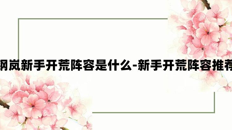 钢岚新手开荒阵容是什么-新手开荒阵容推荐