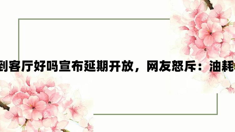 从厨房一路干到客厅好吗宣布延期开放，网友怒斥：油耗表现细致分析！