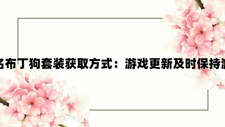 以闪亮之名布丁狗套装获取方式：游戏更新及时保持游戏新鲜感