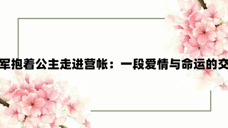 将军抱着公主走进营帐：一段爱情与命运的交织