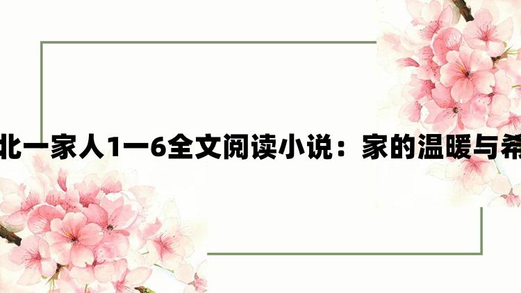 东北一家人1一6全文阅读小说：家的温暖与希望